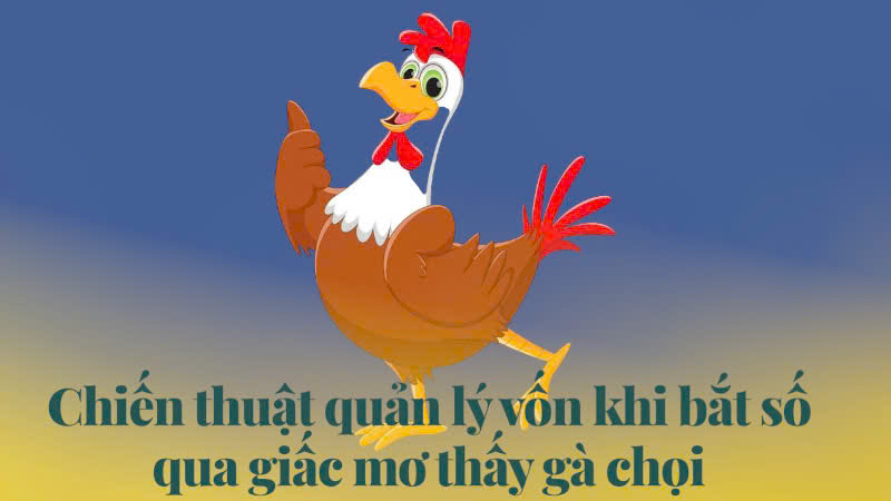 Mơ thấy gà chọi nên đánh con gì