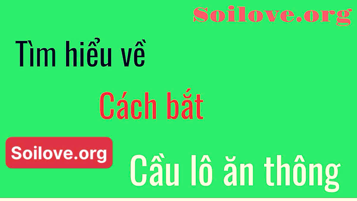 Cầu lô ăn thông