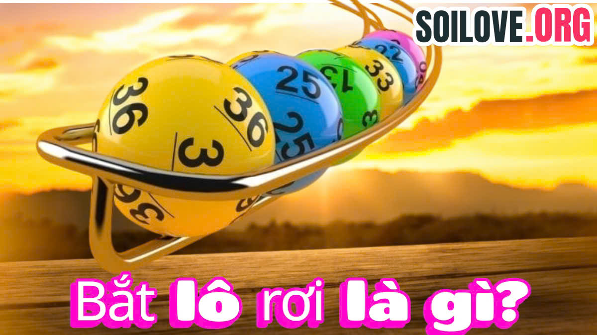 bắt lô rơi
