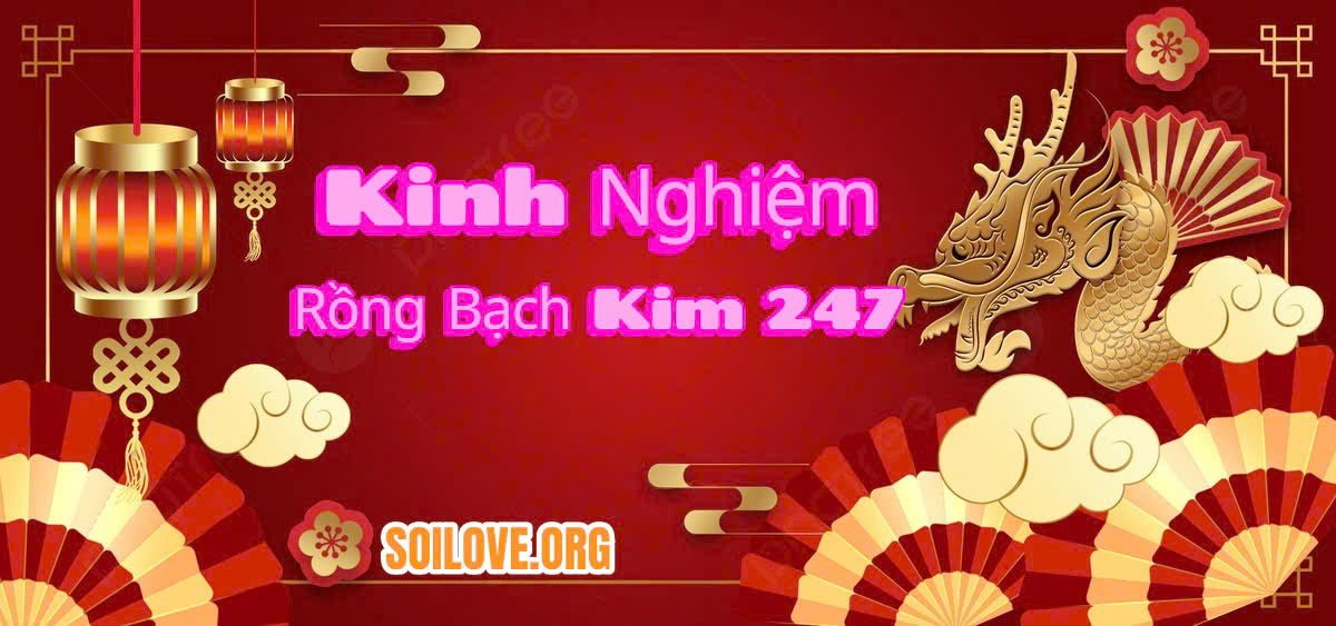 Rồng Bạch Kim 247