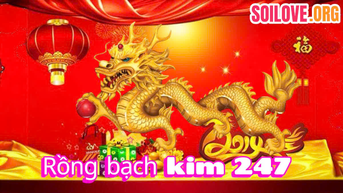 Rồng Bạch Kim 247