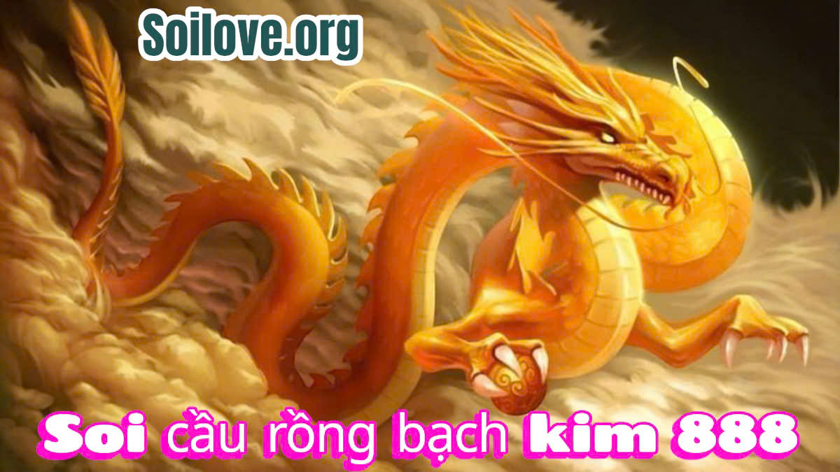 soi cầu rồng bạch kim 888