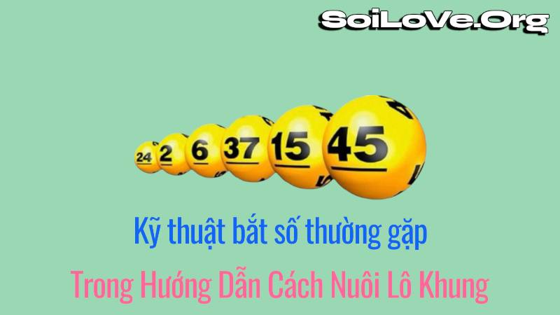Những kỹ thuật bắt số thường gặp trong hướng dẫn cách nuôi lô khung