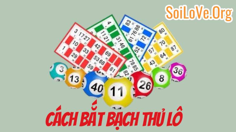 Cách Bắt Bạch Thủ Lô